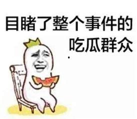吃瓜群众在七零,吃瓜群众的欢乐时光 第2张 吃瓜群众在七零,吃瓜群众的欢乐时光 第2张